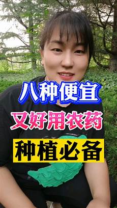 而不可解析至境外或香港的IP