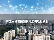 并承诺未来也将为安卓手机提供相同的服务