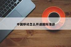 香港版服务器,香港版服务器,点击右侧的“个人银行专业版”